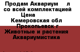 Продам Аквариум 750л. со всей комплектацией › Цена ­ 25 000 - Кемеровская обл., Прокопьевск г. Животные и растения » Аквариумистика   